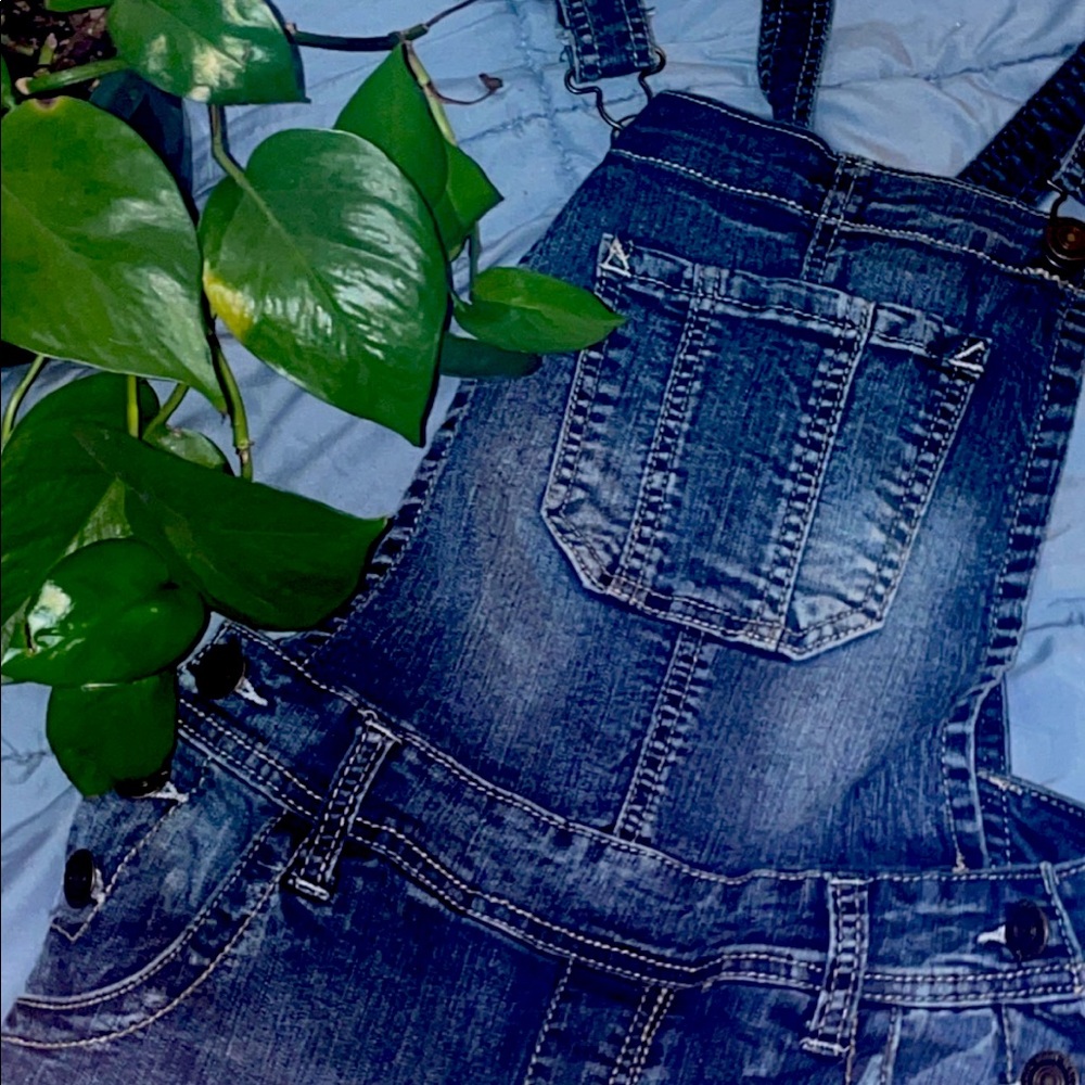 Wallflower Overalls XS